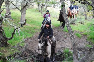 Pingo Cabalgata-Medio-Dia-Cabalgatas-Patagonia-6 thumb